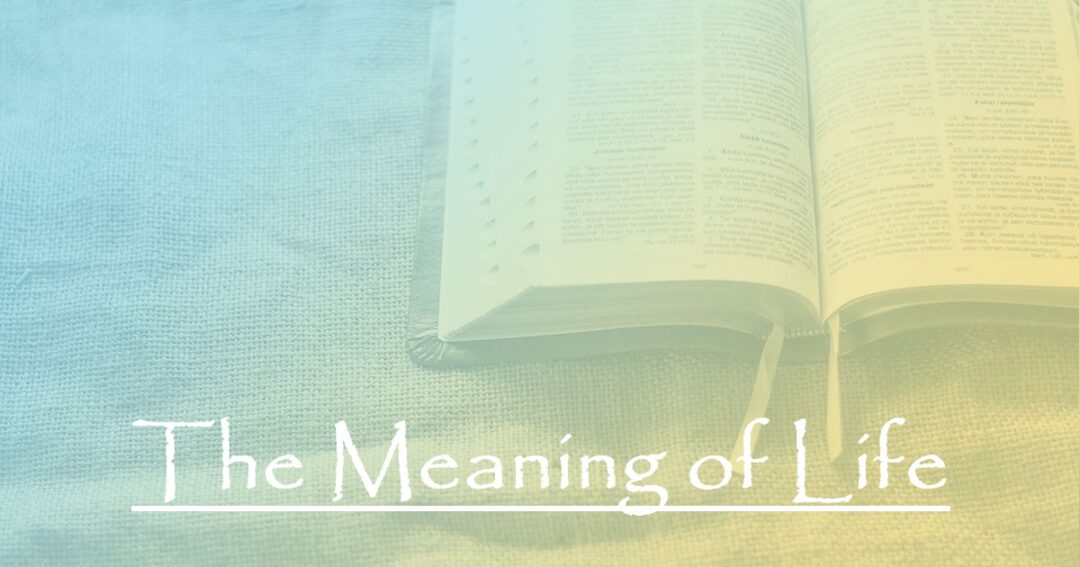 The Meaning of Life:  Part 3 – Our Purposed State to Reflect God’s Original State